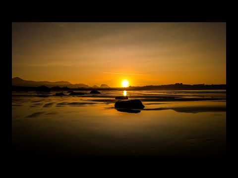 V $ X V PRiNCE x JUNIOR (Ghetto Dogs) - She Just Wanna Dance