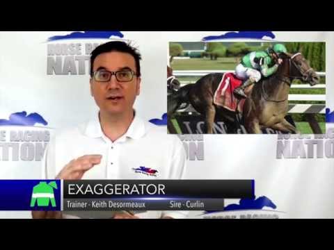 Road to Kentucky Derby 2016: Breeders' Cup Juvenile 2015 with NYQUIST