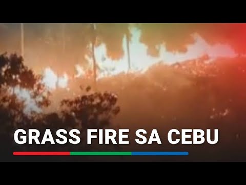 Grass fire sa Cebu ABS CBN News