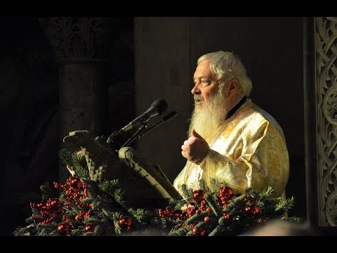 Cuvânt IPS Andrei ~ An Nou - Om nou ~ 1 ianuarie 2019