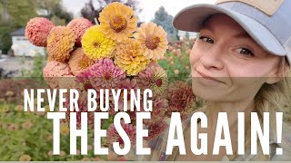 Saving These Zinnias For Next Year (My Top Three Faves And How To Seed Save!)