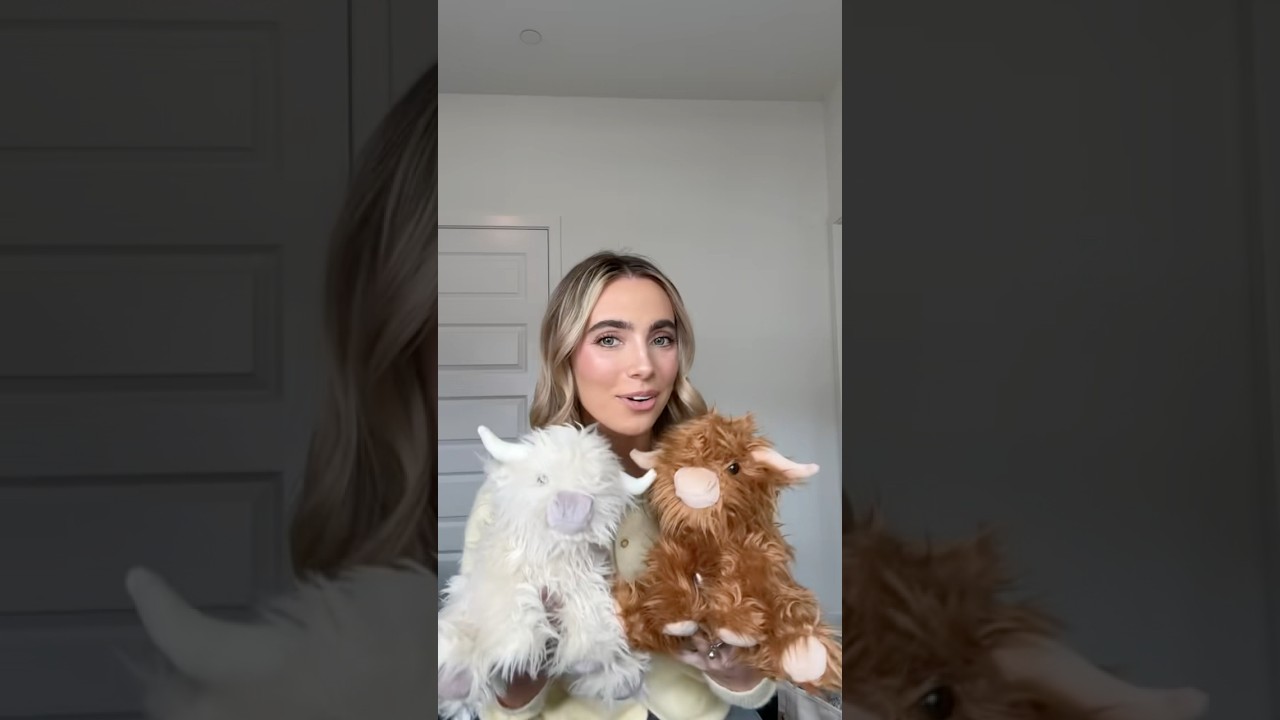 MINI Highland Cows?! Yes please 🐮💚 Heatable, huggable & adorable! #hugz #plushies