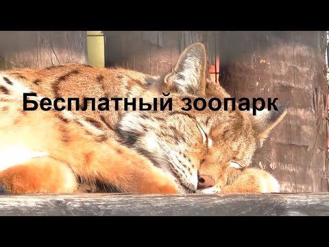 Бесплатный зоопарк в Польше город Белосток Что посмотреть в Польше Белосток Białystok