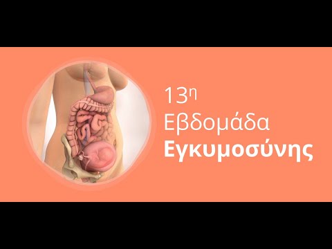 Η εγκυμοσύνη ανά εβδομάδα: 13η Εβδομάδα Εγκυμοσύνης