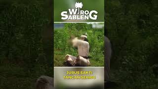 Download lagu Jurus Sakti Tangan Seribu | Wiro Sableng #shorts mp3