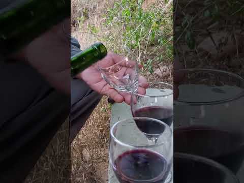 Vino Ecológico en Uriondo/Tarija.  Emprendimiento La ERA!.