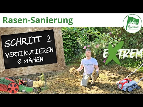 Rasen erneuern | Sanierung Schritt 2 - Vertikutieren und Mähen zum Entfernen von Moos und Unkraut