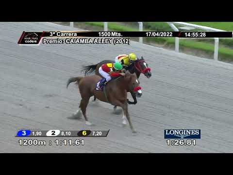 220417 c03 MONT BLANC (BRZ)