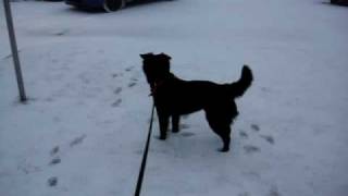 Chain tassut ensi lumessa