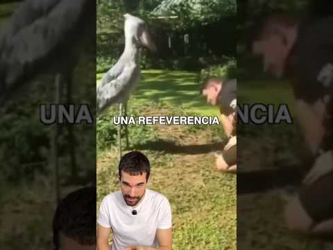 El Hipogrifo del Siglo XXI