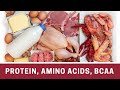 Protein, Amino Acids, BCAA : 25 Min Phys