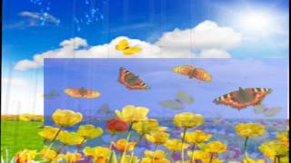 Y las mariposas-Joan sebastian. Con Letra. ♥