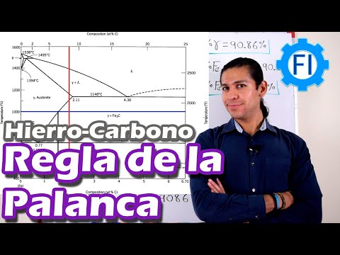 Lever Rule | Phase Diagram | Example - Salvador FI