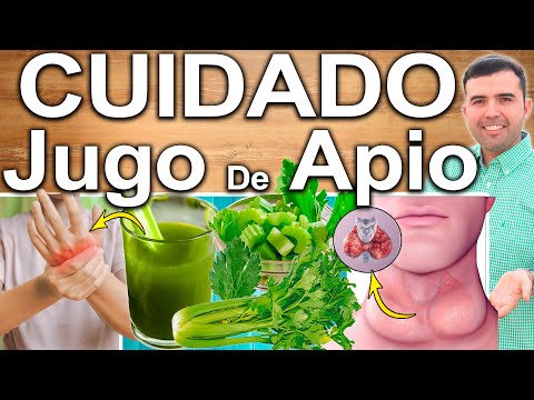 NO TOMES JUGO DE APIO! - Contraindicaciones Del Jugo De Apio Que Debes Conocer
