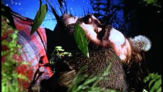 Bjork   Human Behaviour official video