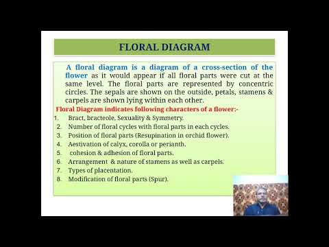 Floral Formula and Diagram