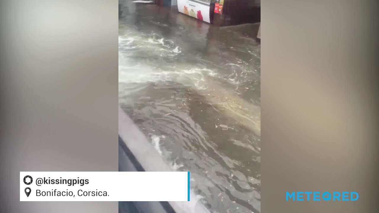 youtube video id=E4cVzjHmKvY