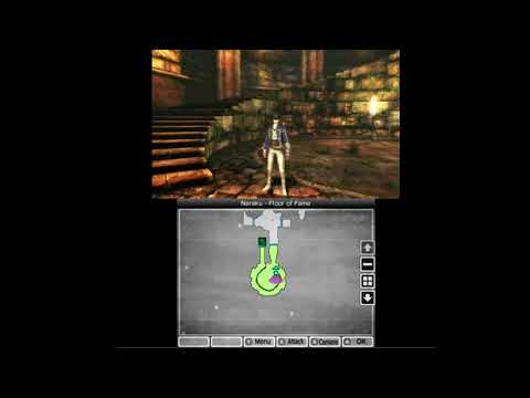 i can record 3ds....kinda