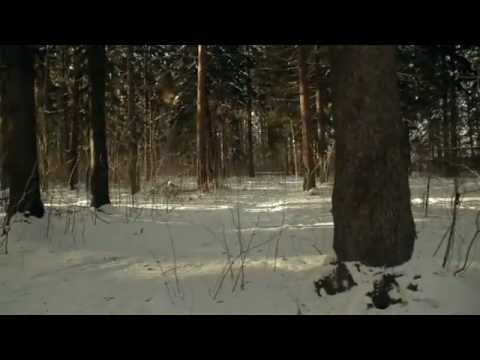 Mr. ON & Maria Guzeeva - Be My Valentine (Official Trailer)