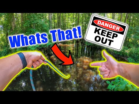 No One Should Be Magnet Fishing Here! (Dangerous)