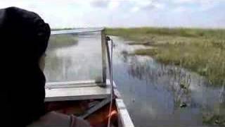 preview picture of video 'Everglades Air Boat Ride'