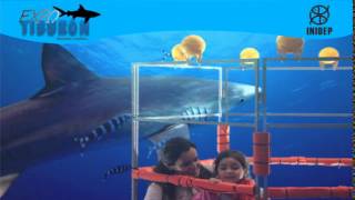 DIA 2 Expo Tiburon61