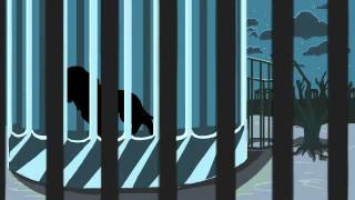 King Washington - Animal (Official Music Video)