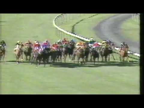 1991 Goodwood Handicap - Crush