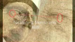 5170【08r】Cain's Signature=27+Cain's Portraitカイン作の署名27+カインの自画像Hiroshi Hayashiはやし浩司JP