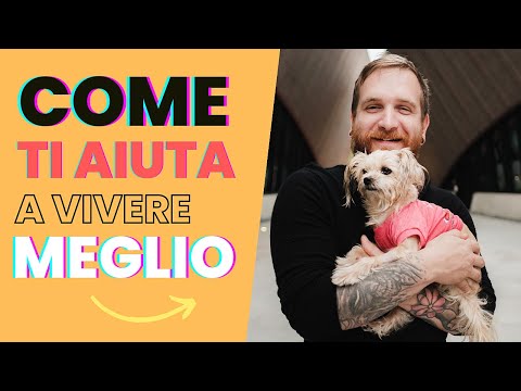 Effetti Benefici della convivenza con un Cane