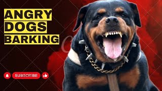 Angry Dog Barking Loudly | AngryDog Sound
