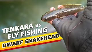 Download lagu Mancing di Sarang Ikan Kotes dengan Teknik Tenkara & Fly Fishing mp3