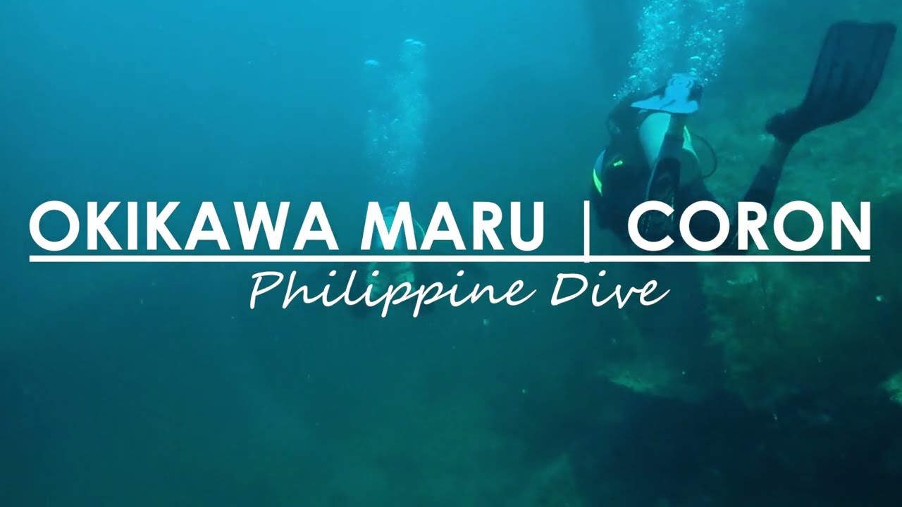 Discover the enchanting highlights of Okikawa Maru diving.