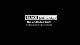 The Undiluted Truth - this wretched earth