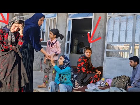 Nomadic life: Hadi returns to his work and plays with the cat Melos 🥹🥺❤❤