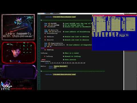 Learn PowerPC Assembly - Lesson 1 - Getting Started with the Power PC