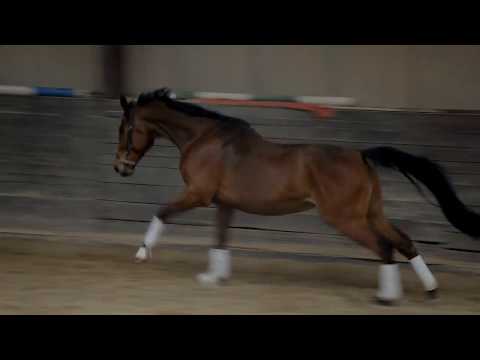 Fiepes Winged FOR SALE