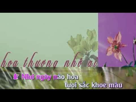 Thể hiện bởi Nguyễn Hữu Thiết