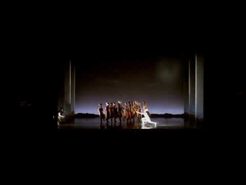 O Rei Leão Musical - São Paulo - Brazil - Terra Seca(Shadowland)