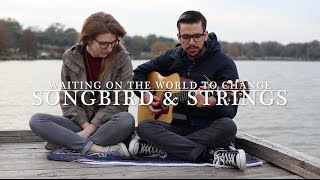 Songbird & Strings - Waiting On the World to Change (John Mayer cover)