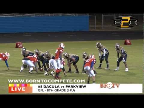B2C: #8 Dacula Falcons vs Parkview - 14U