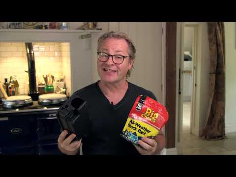 Bait And Kill Treatments To Protect Your Home From Rats - COM145