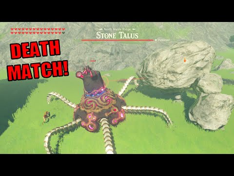 Guardian vs Stone Talus DEATH MATCH! | Zelda: Breath of the Wild