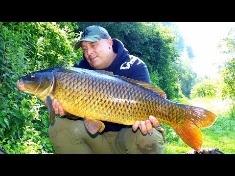 Karpfenangeln VTB 43 - Ende gut,alles gut