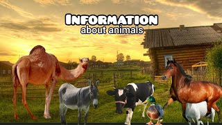 Animal sounds 🐄🐑🐓 and their benefits for humans. Watch and enjoy the natural vibes! 🐾