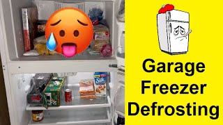 Garage Freezer Defrosting - Help!