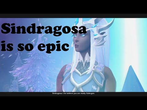 Kalecgos meets Sindragosa