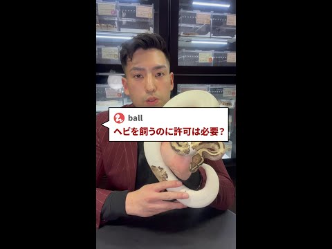 ヘビを寄せ付けない植物は何ですか?爬虫類を撃退し、怖がらせるための最も強力な6種を紹介します  庭園