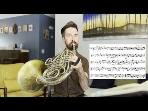 2023-2024 Florida All-State Symphonic Band Horn Technical Etude