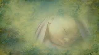 Merrigan: Samhain Child